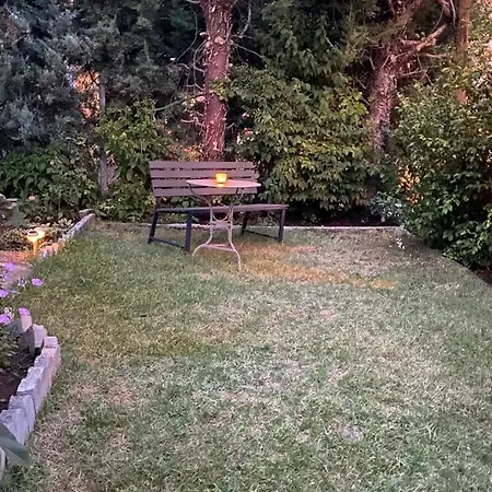 Manoria * كوزاني