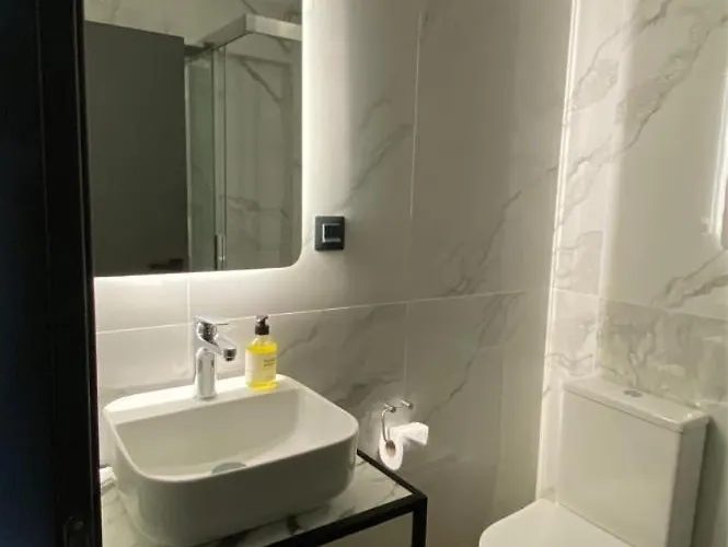 公寓 Manoria 科扎尼